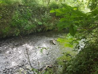 River Stour running through Kedington